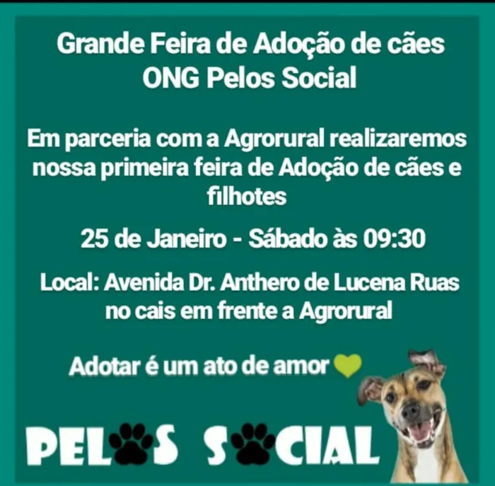 Participe da feira de adoção de animais em Pedra Azul - MG. Encontre seu novo amigo e ajude a transformar vidas. Venha e faça a diferença!