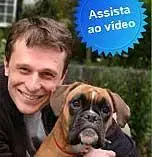 Orientações para Bom Comportamento dos Cães e Gatos.