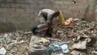 Cachorro resgatado de fossa