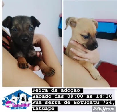 Tatuapé