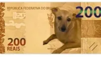Banco Central e Vira-Lata Caramelo