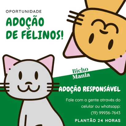 Feirinha Felina: Encontre seu Companheiro em São João da Boa Vista!