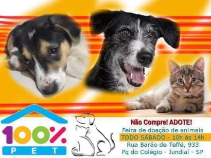 Adote um Amigo: Evento de Doação de Animais em Jundiaí