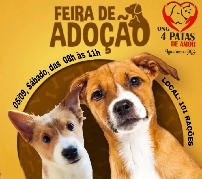 Participe da feira de adoção em Iguatama-MG e encontre seu novo amigo de quatro patas. Venha fazer a diferença e adote um animal feliz!