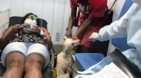 Cachorro acompanha dona em ambulância no RJ