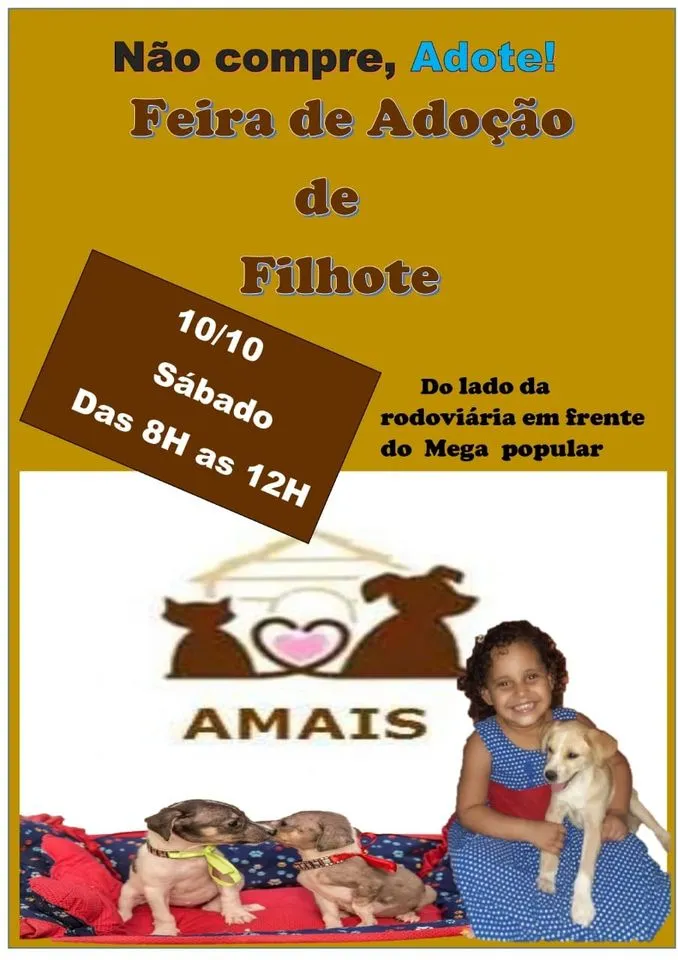 Descubra seu novo amigo na feira de adoção em Raul Soares. Venha conhecer cães e gatos esperando por um lar. Faça a diferença na vida deles!