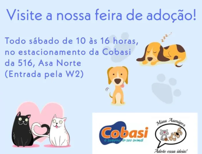 Encontre o Amor de Quatro Patas na Feira de Adoção em Brasília!