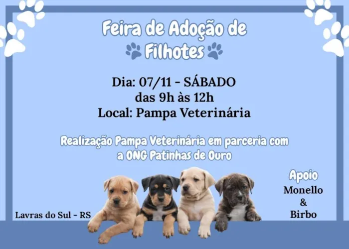 Participe da Feira de Adoção em Lavras do Sul - RS. Encontre seu novo amigo peludo e faça a diferença na vida de um animal. Adoção consciente é amor!