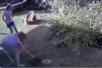 Mulher enfrenta cobra para salvar filhote de cão