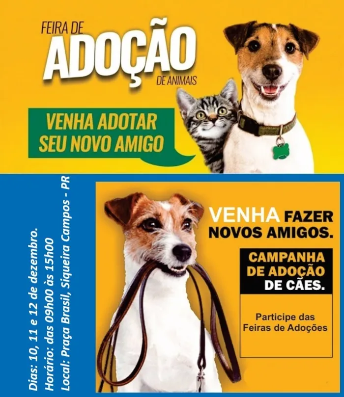 Participe da feira de adoção de animais em Siqueira Campos-PR. Encontre um novo amigo para toda a vida! Venha e faça a diferença.