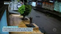 Cachorro heroico salva família