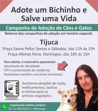 Feira de Adoção de Pets na Tijuca - Encontre Seu Novo Amigo!