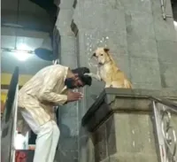 Cachorro abençoa frequentadores do templo
