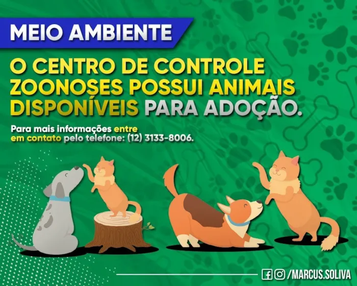 Participe da feira de adoção na Estância Turística de Guaratinguetá e encontre seu novo amigo! Adote um animal e faça a diferença na vida dele.