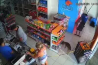 Cachorro furtando petisco em pet shop