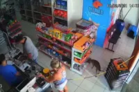 Cachorro é flagrado "furtando" petisco em pet shop de Nova Esperança