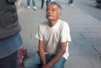 Cachorrinho roubado gera revolta