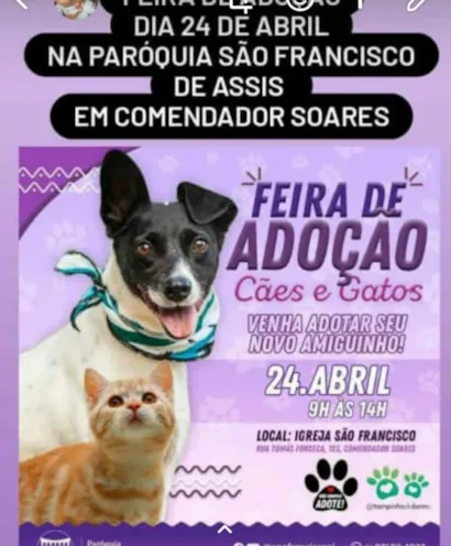 em CAMPO GRANDE
