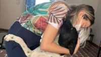 Adoção de cachorro cego em Alto Santo