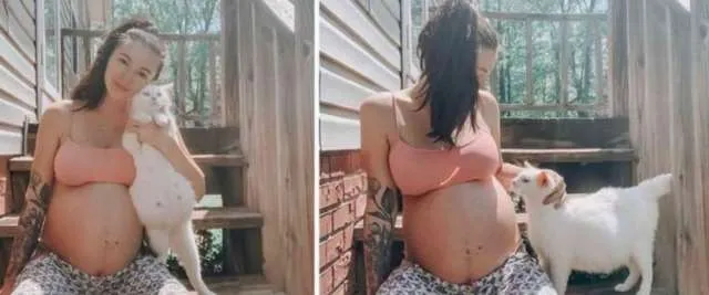 Mulher encontra uma mamãe gata perdida e elas se tornam companheiras de gravidez mais fofas