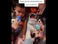 Gato fofo com mamadeira
