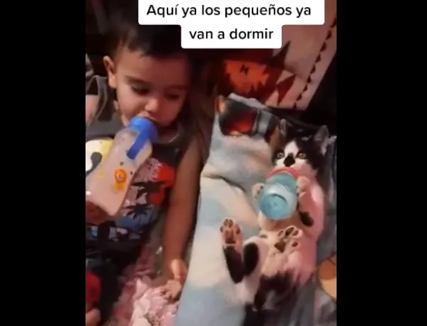 Mulher mostra seu gatinho segurando mamadeira com suas patinhas enquanto bebe leite