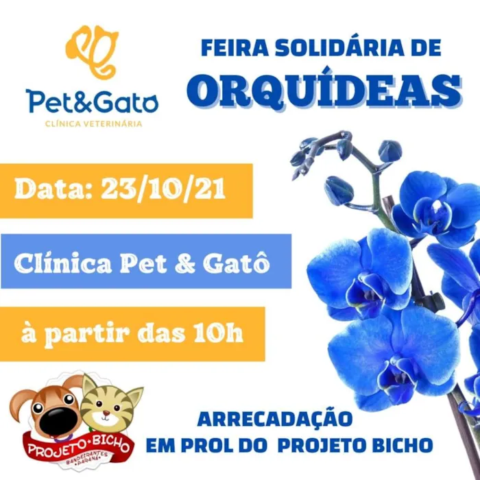 Adote um amigo em Bandeirantes-PR! Participe da nossa feira de adoção de animais e transforme vidas. Venha fazer a diferença!