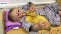 Macaco indonésio faz amigos e conquista a Internet