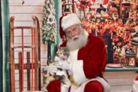 Gata mal-humorada e o encontro com Papai Noel
