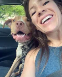 Pitbull Resgatado Sorri ao Ser Libertado