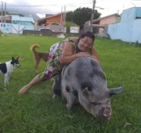 Mini porco protagonista em SP