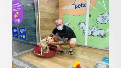 Cachorro resgatado em Manaus é adotado e vai morar na Holanda