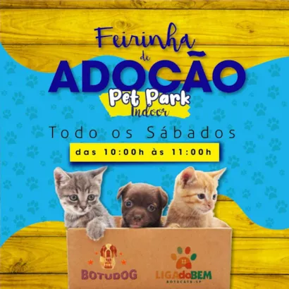 Feirinha de Adoção Pet Park Botucatu: Ame e Seja Amado!