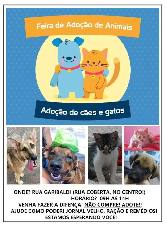 Feira de Adoção de Animais em Esteio: Encontre seu Novo Amigo!