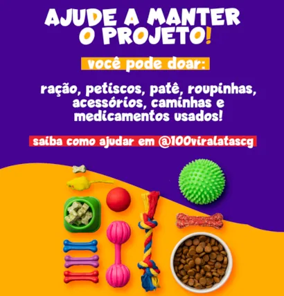 Adote um Amigo Peludo em Campo Grande – Um Lar Para Cada Pet