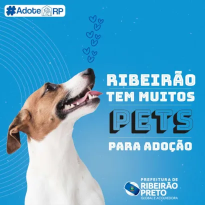 Ribeirão Adota: Encontre seu Novo Amigo de Quatro Patas!