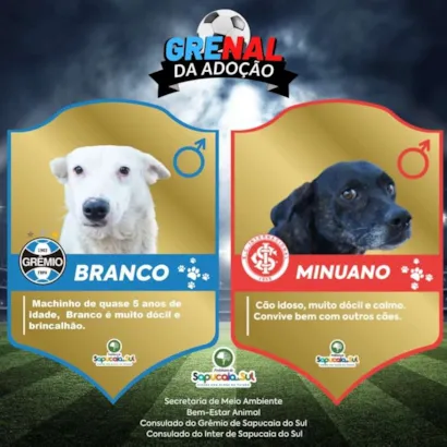 Marque um Golaço de Solidariedade no Grenal da Adoção em Sapucaia do Sul!