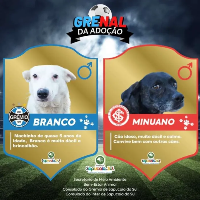 Marque um Golaço de Solidariedade no Grenal da Adoção em Sapucaia do Sul!