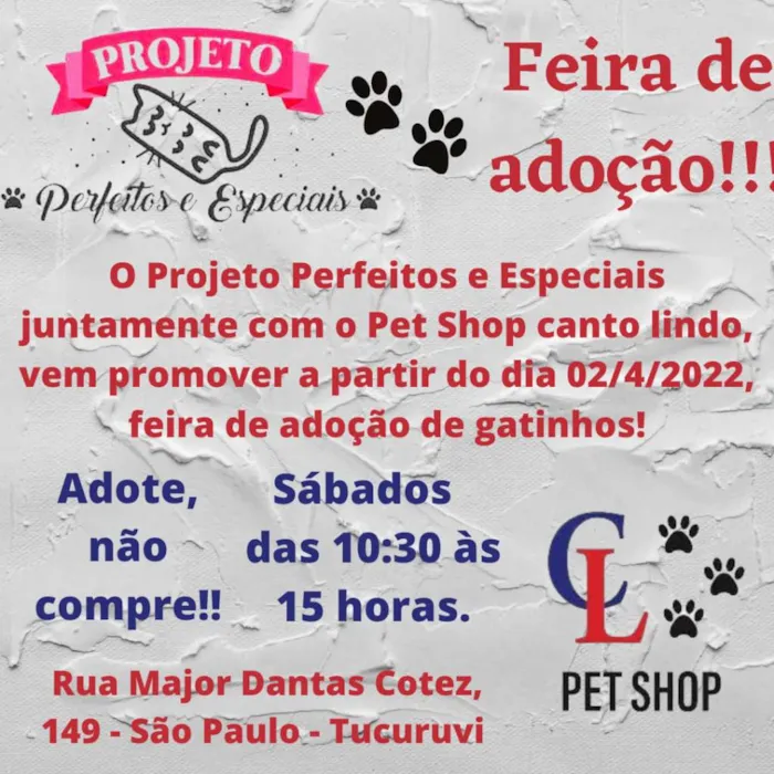 Feira de Adoção de Animais: Encontre seu Novo Amigo!