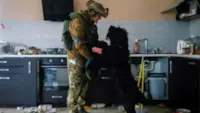 Cão resgatado em Kiev