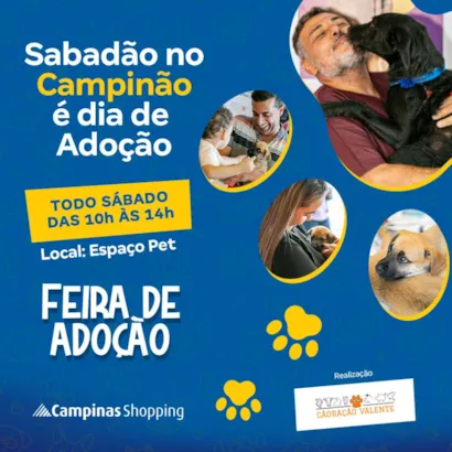 Feira de Adoção no Campinas Shopping: Encontre Seu Novo Amigo!