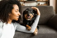 Adoção de Cachorros: Guia Completo