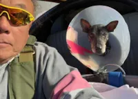 Piloto Resgata Animais para Adoção