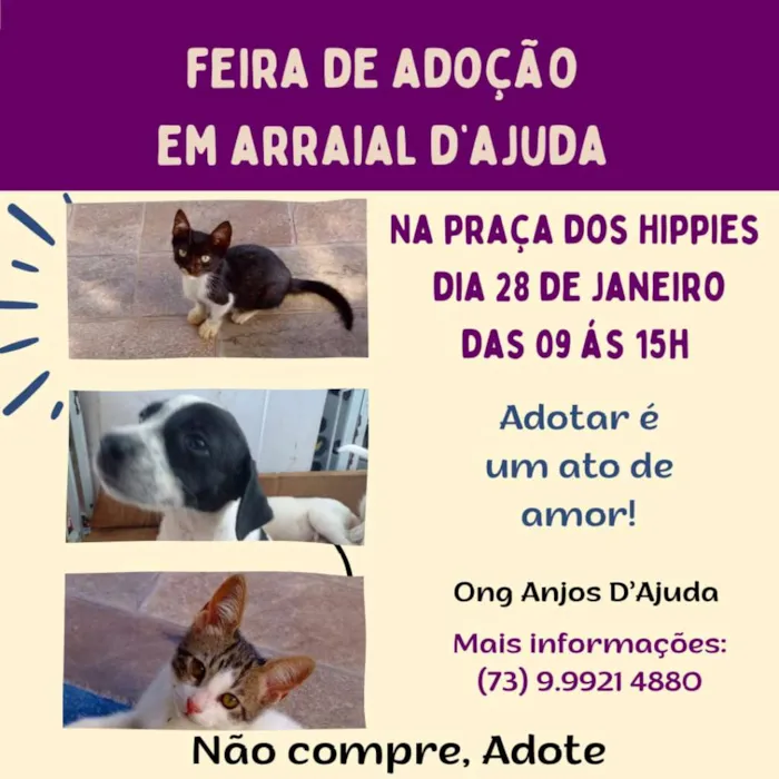 Atraia um novo amigo para sua casa! Participe da feira de adoção de animais em Arraial Dajuda. Venha conhecer nossos fofos à procura de um lar.