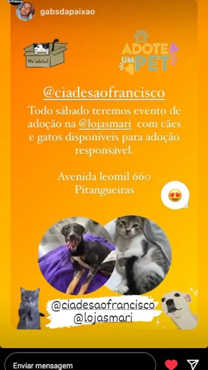 Encontre seu Novo Melhor Amigo - Adoção de Pets no Guarujá!