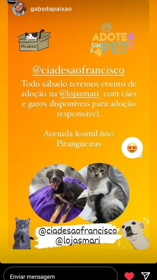 Encontre seu Novo Melhor Amigo - Adoção de Pets no Guarujá!