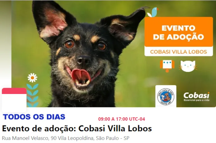 Abra Seu Coração: Adote um Amigo na Cobasi Villa Lobos