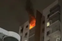 Fisiculturista salva cachorro em incêndio