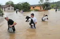 Abrigo dos Bichos arrecada ajuda para animais de SC 