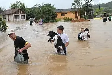 Abrigo dos Bichos arrecada ajuda para animais de SC 